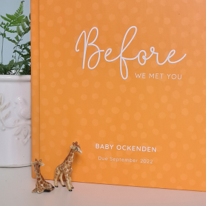 Pregnancy Journal Cover